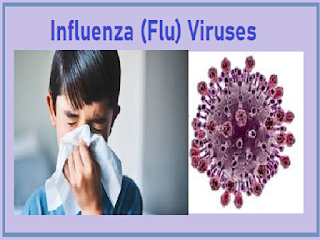 Influenza symptoms and causes