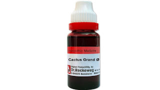 Cactus Grandiflorus Q Mother tincture Symptoms, Uses, and Benefit in Hindi