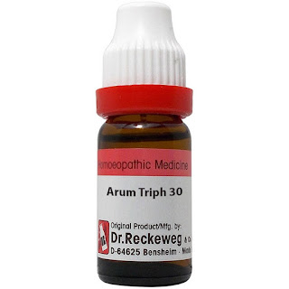 Arum Triphyllum 30 Symptoms Uses and Banefit in hindi
