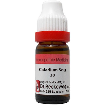 Caladium Seguinum 30 Symptoms and Benefits in hindi