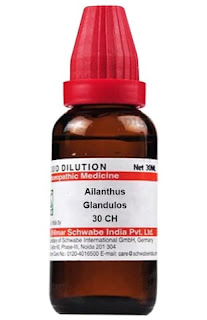Allanthus Glandulosa 30 homoeopathic medicine benefit in hindi